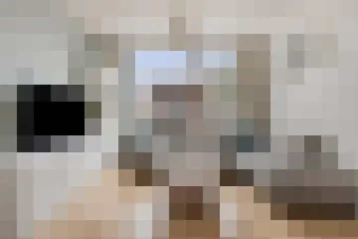 Moerschansstraat 138 Hulst thumbnail 10