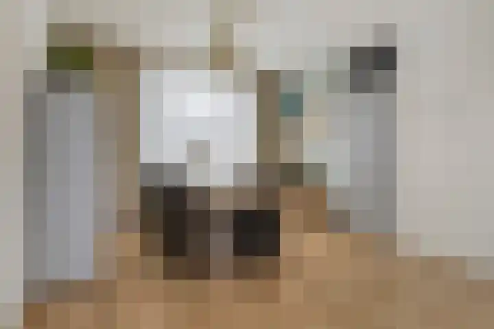 Moerschansstraat 138 Hulst thumbnail 11