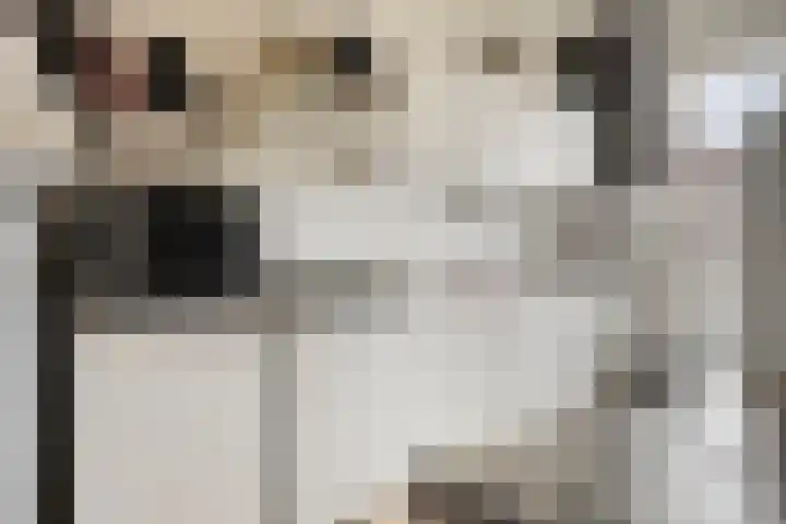 Moerschansstraat 138 Hulst thumbnail 14