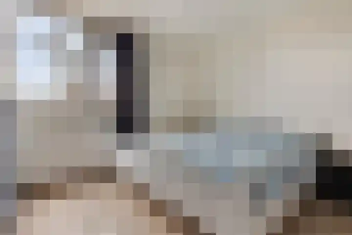 Moerschansstraat 138 Hulst thumbnail 17