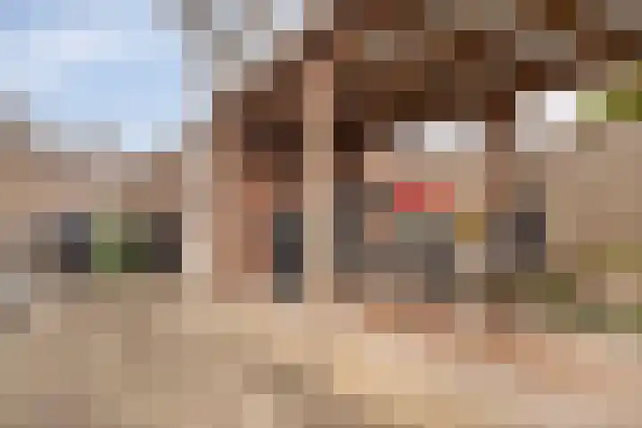 Moerschansstraat 138 Hulst thumbnail 28