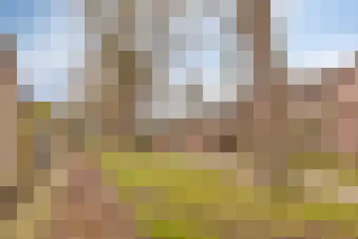 Moerschansstraat 138 Hulst thumbnail 30