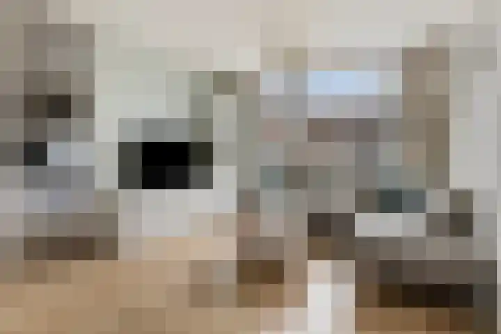 Moerschansstraat 138 Hulst thumbnail 9