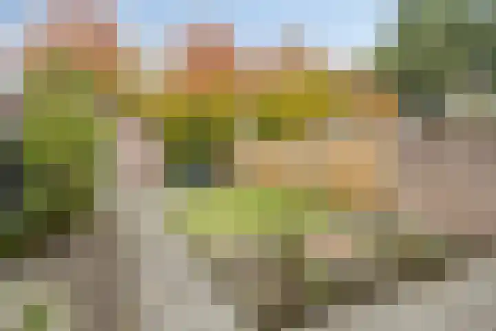 Moerschansstraat 160 Hulst thumbnail 22
