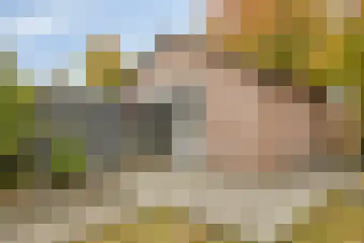 Moerschansstraat 160 Hulst thumbnail 23