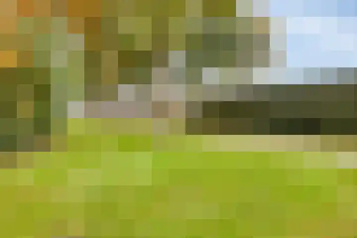 Moerschansstraat 160 Hulst thumbnail 24