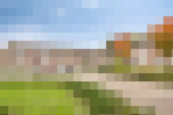 Moerschansstraat 160 Hulst thumbnail 6