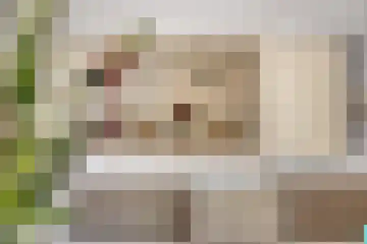 Moerschansstraat 25 Hulst thumbnail 11