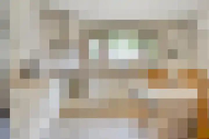 Moerschansstraat 25 Hulst thumbnail 12
