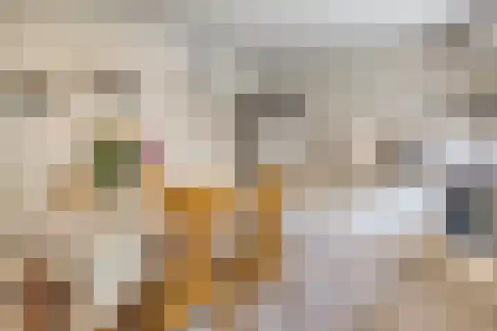 Moerschansstraat 25 Hulst thumbnail 13