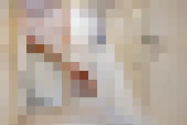 Moerschansstraat 25 Hulst thumbnail 15