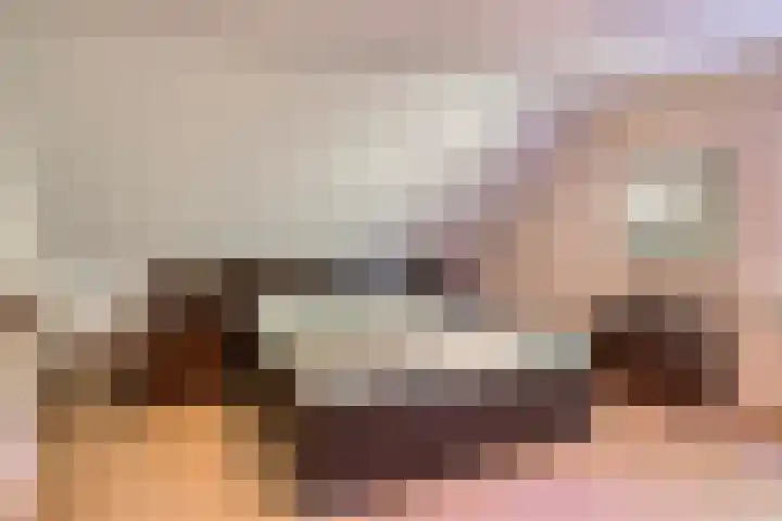 Moerschansstraat 25 Hulst thumbnail 16
