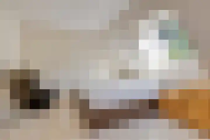Moerschansstraat 25 Hulst thumbnail 20