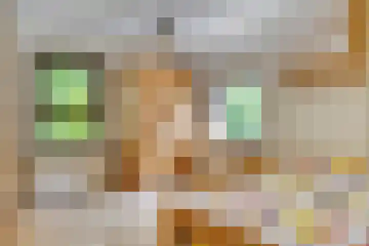 Moerschansstraat 25 Hulst thumbnail 22