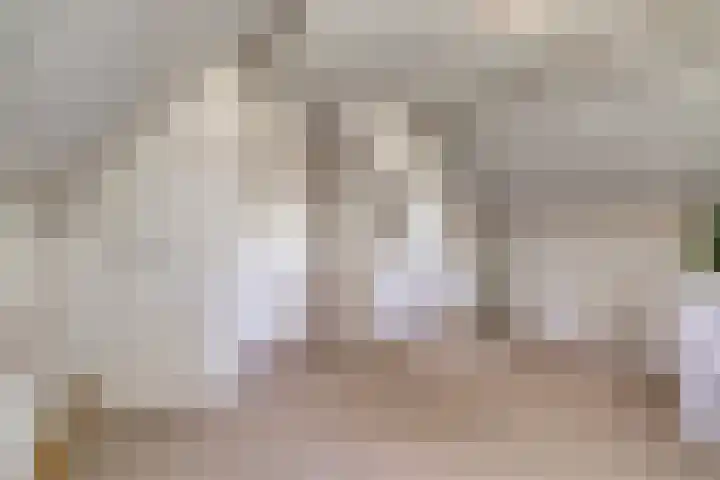 Moerschansstraat 25 Hulst thumbnail 25