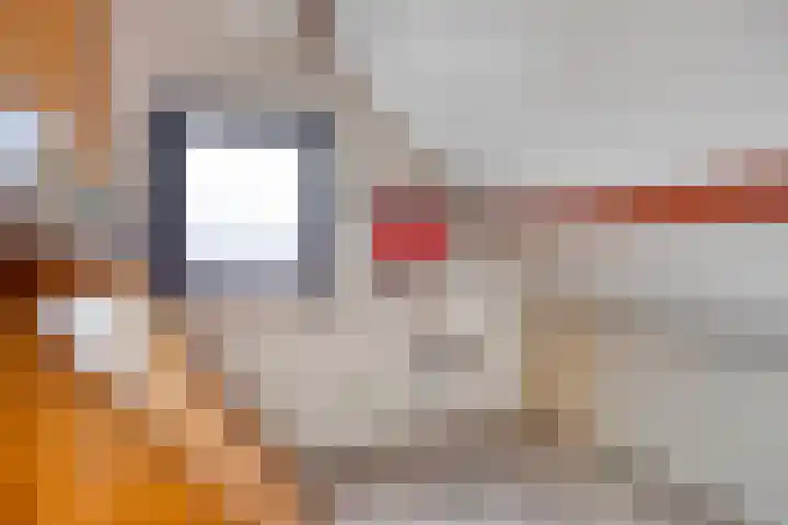 Moerschansstraat 25 Hulst thumbnail 26