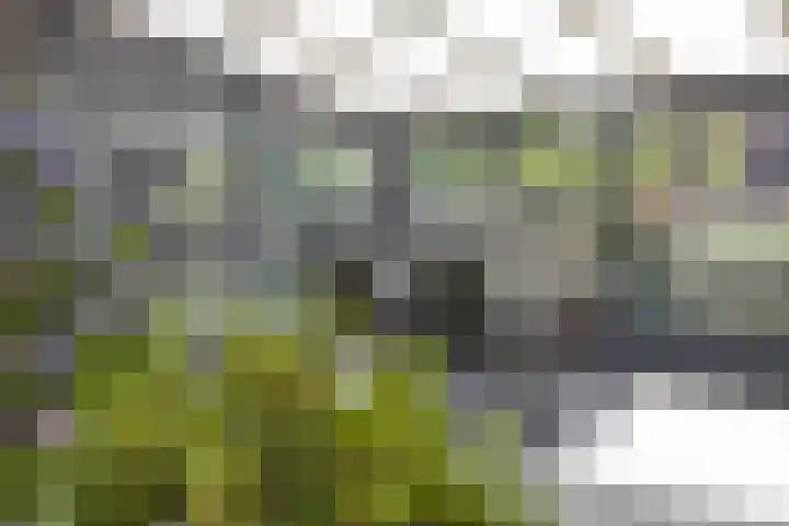 Moerschansstraat 25 Hulst thumbnail 28