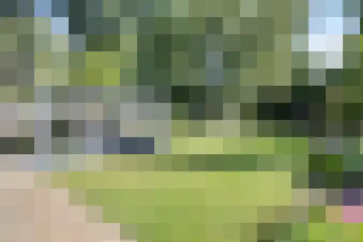 Moerschansstraat 25 Hulst thumbnail 29