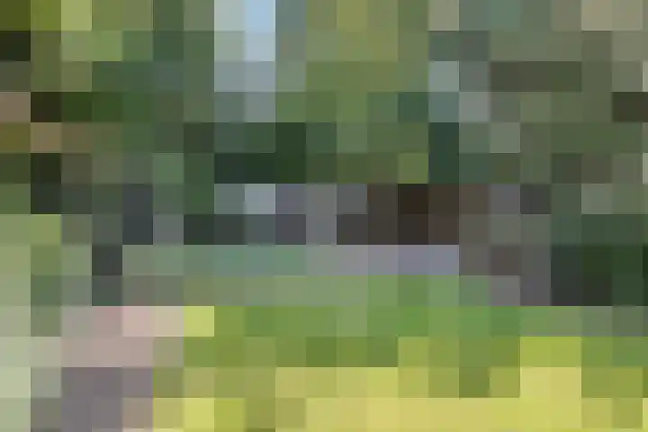 Moerschansstraat 25 Hulst thumbnail 30