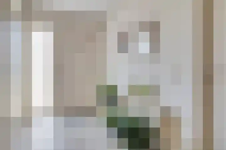 Moerschansstraat 25 Hulst thumbnail 5