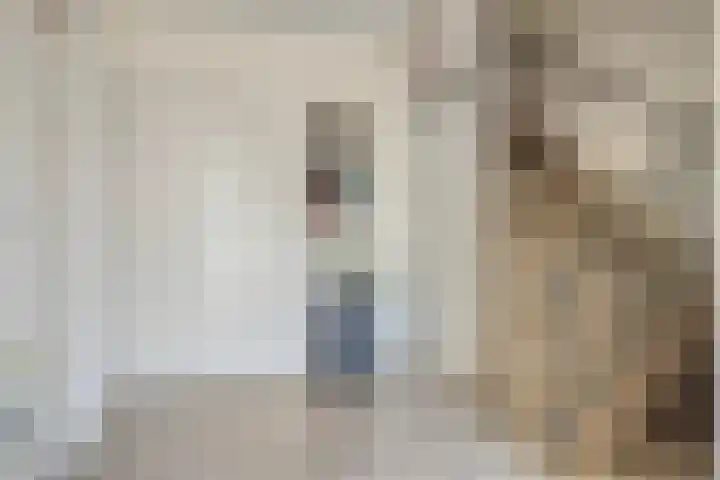 Moerschansstraat 25 Hulst thumbnail 6