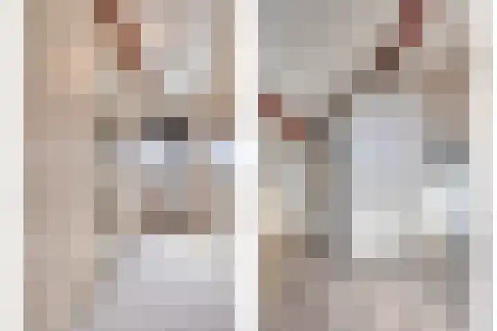 Moerschansstraat 25 Hulst thumbnail 8
