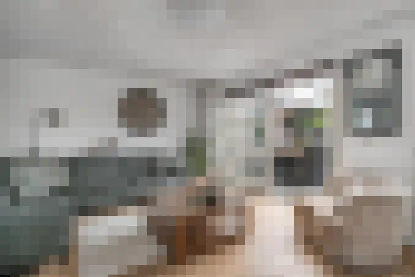Moerschot 50 Sint-Michielsgestel thumbnail 10
