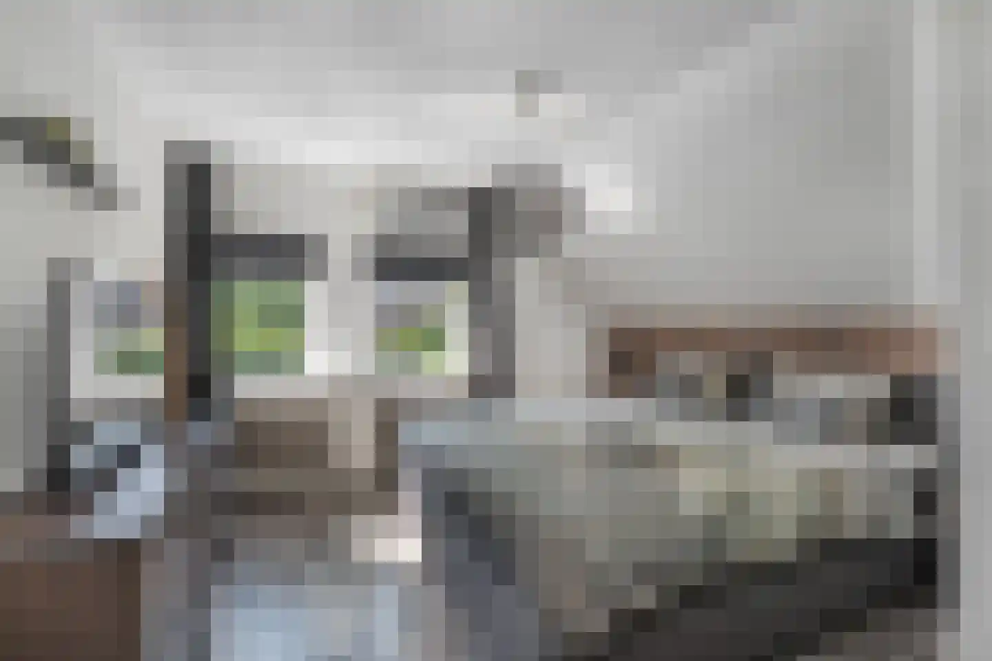 Moerschot 50 Sint-Michielsgestel thumbnail 16