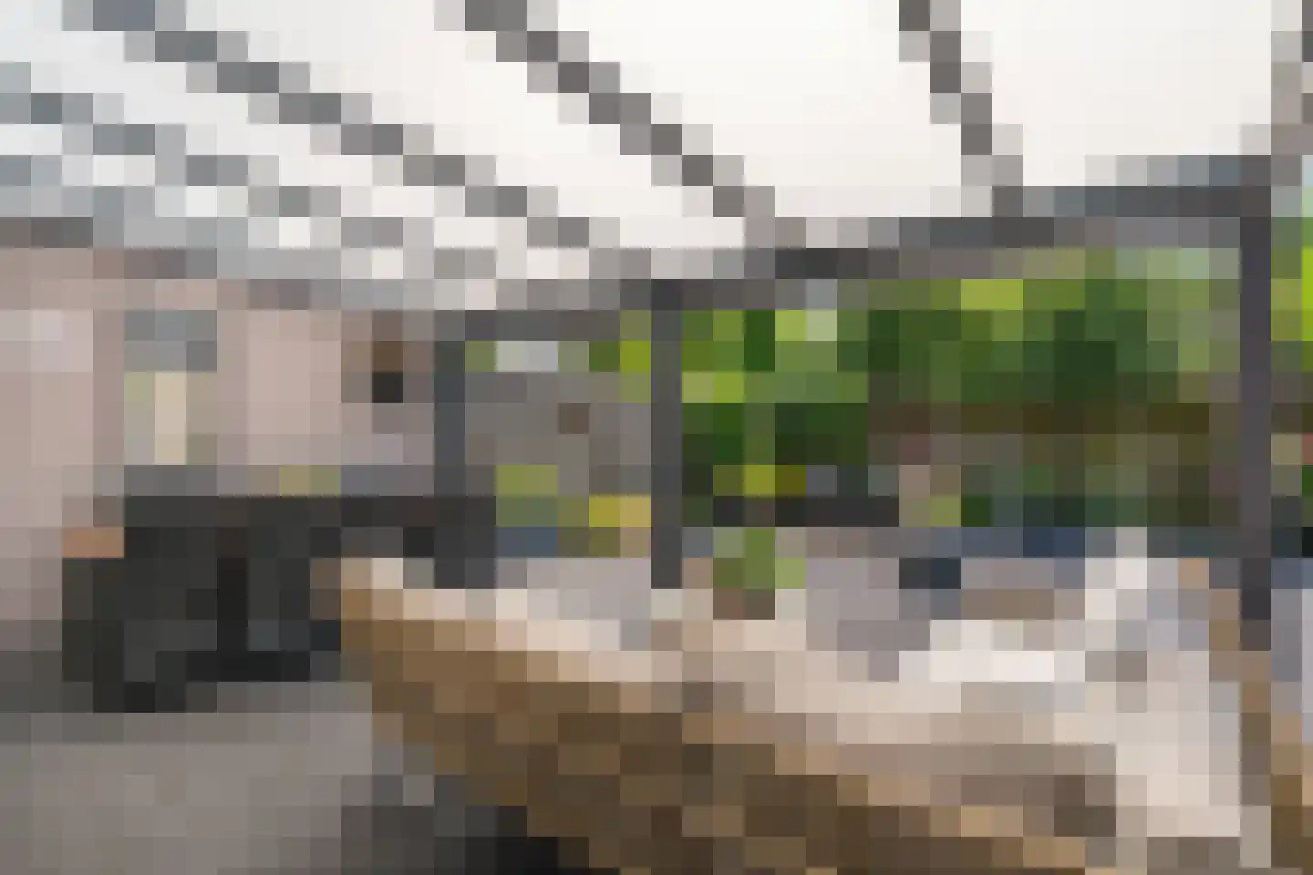 Moerschot 50 Sint-Michielsgestel thumbnail 23