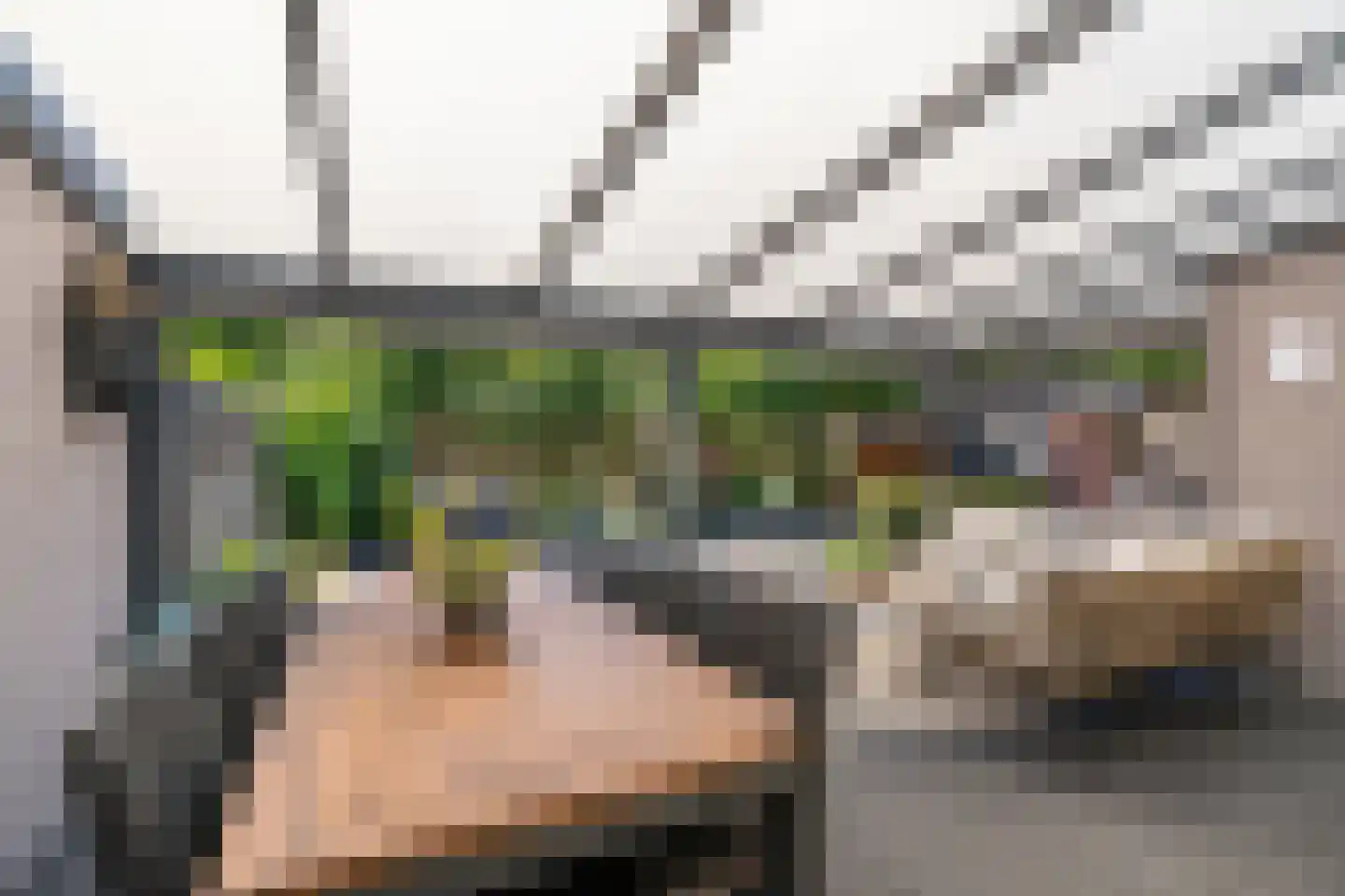 Moerschot 50 Sint-Michielsgestel thumbnail 25