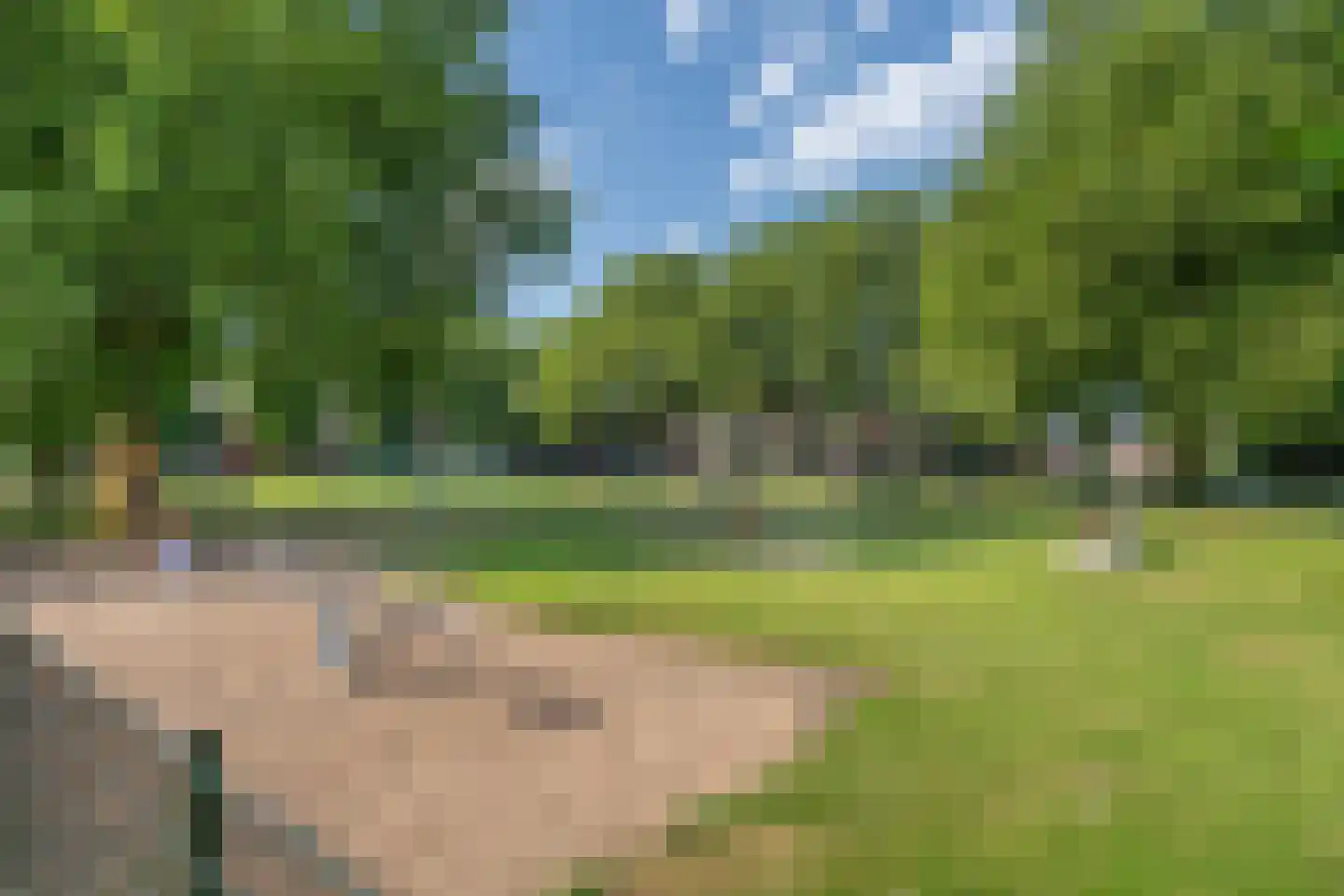 Moerschot 50 Sint-Michielsgestel thumbnail 32
