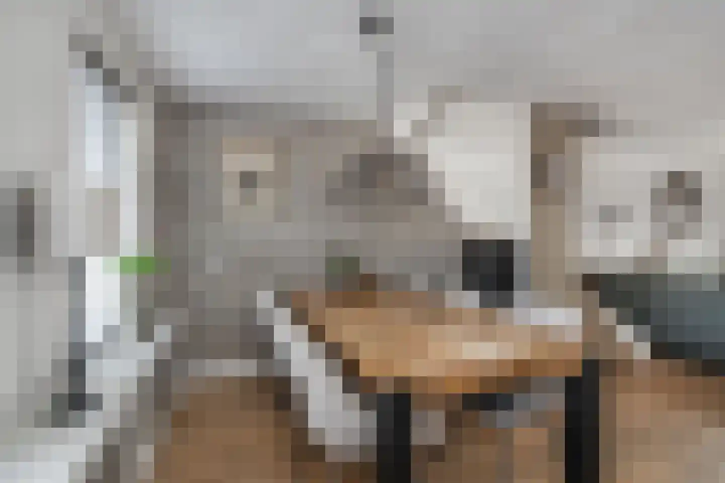 Moerschot 50 Sint-Michielsgestel thumbnail 5