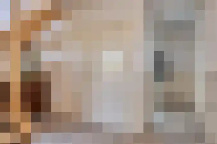 Moerseweg 4 Hooge Zwaluwe thumbnail 10