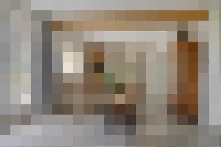 Moerseweg 4 Hooge Zwaluwe thumbnail 15