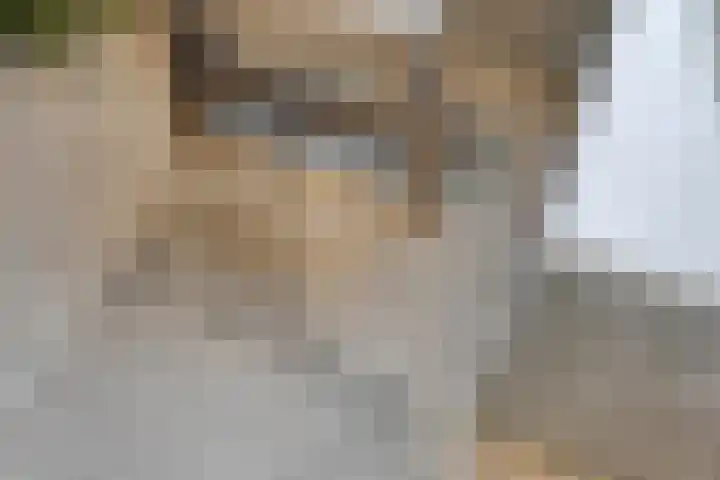 Moerseweg 4 Hooge Zwaluwe thumbnail 26