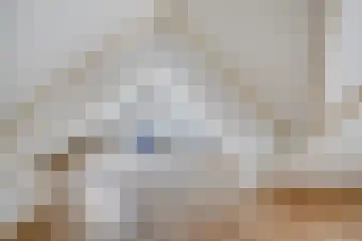 Moerseweg 4 Hooge Zwaluwe thumbnail 39