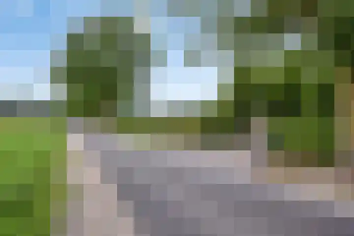 Moerseweg 4 Hooge Zwaluwe thumbnail 4