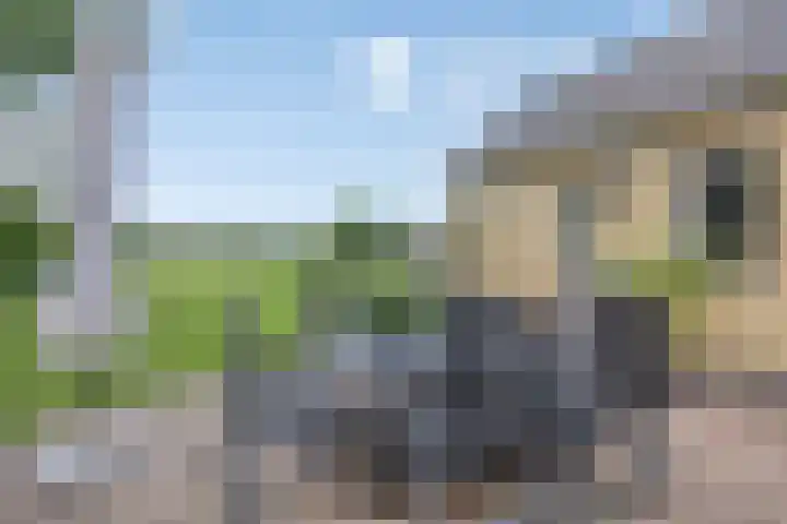 Moerseweg 4 Hooge Zwaluwe thumbnail 42