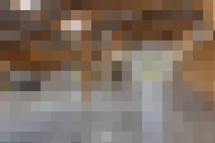 Moerseweg 4 Hooge Zwaluwe thumbnail 54