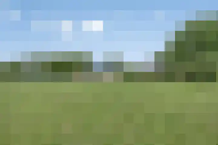 Moerseweg 4 Hooge Zwaluwe thumbnail 58