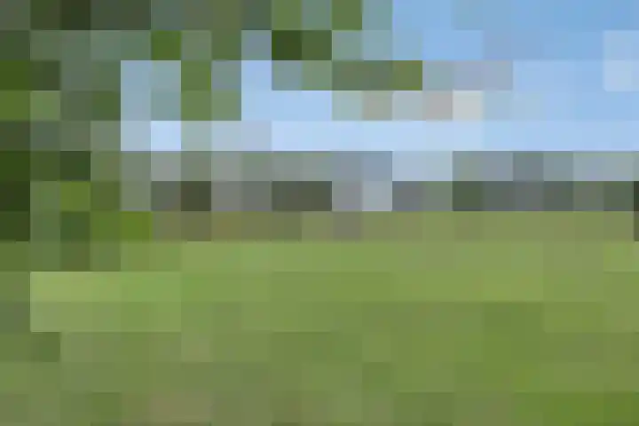 Moerseweg 4 Hooge Zwaluwe thumbnail 59