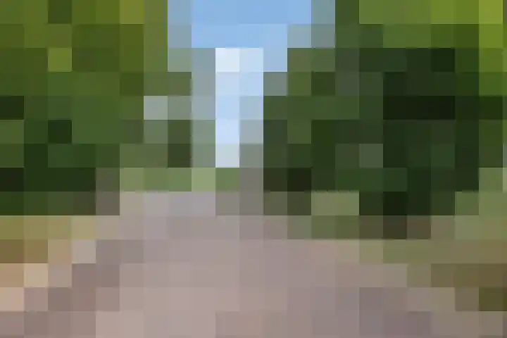 Moerseweg 4 Hooge Zwaluwe thumbnail 6