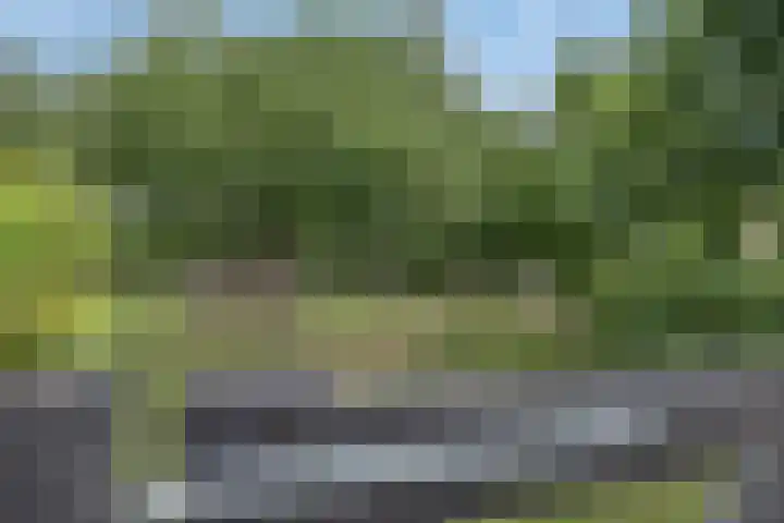 Moerseweg 4 Hooge Zwaluwe thumbnail 60