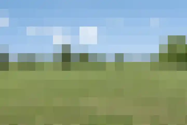 Moerseweg 4 Hooge Zwaluwe thumbnail 61