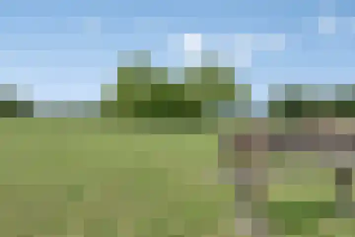 Moerseweg 4 Hooge Zwaluwe thumbnail 62