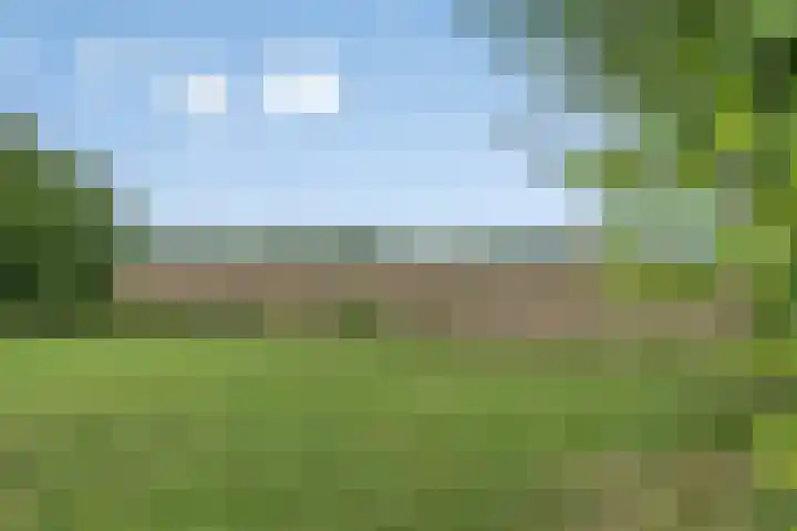 Moerseweg 4 Hooge Zwaluwe thumbnail 63