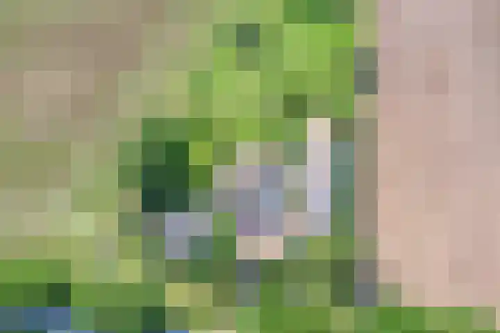Moerseweg 4 Hooge Zwaluwe thumbnail 65