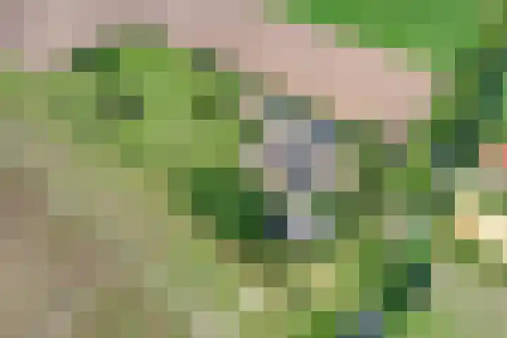 Moerseweg 4 Hooge Zwaluwe thumbnail 66