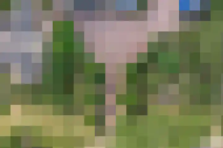 Moerseweg 4 Hooge Zwaluwe thumbnail 69