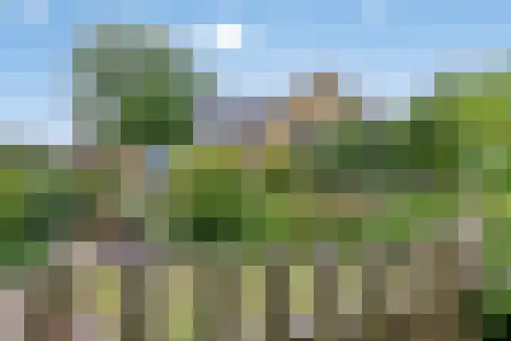 Moerseweg 4 Hooge Zwaluwe thumbnail 7